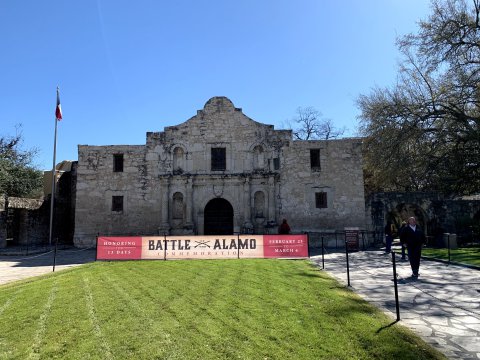 Alamo